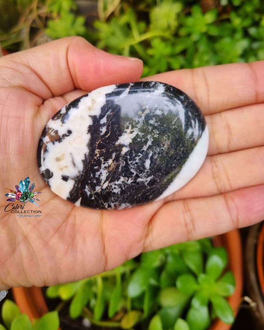 Zebra Jasper Palmstone
