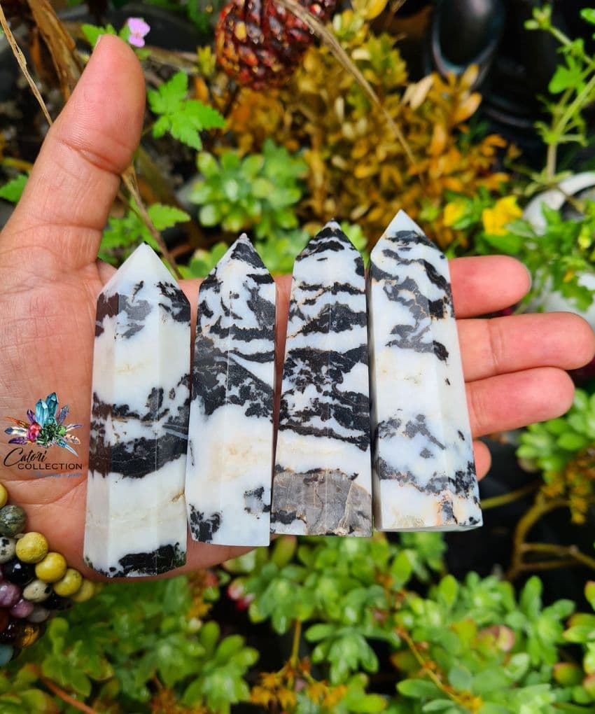 Zebra Jasper Point