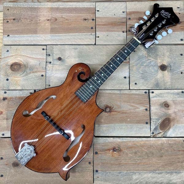 Barnes & Mullins BM650 Salvino F-Style Mandolin