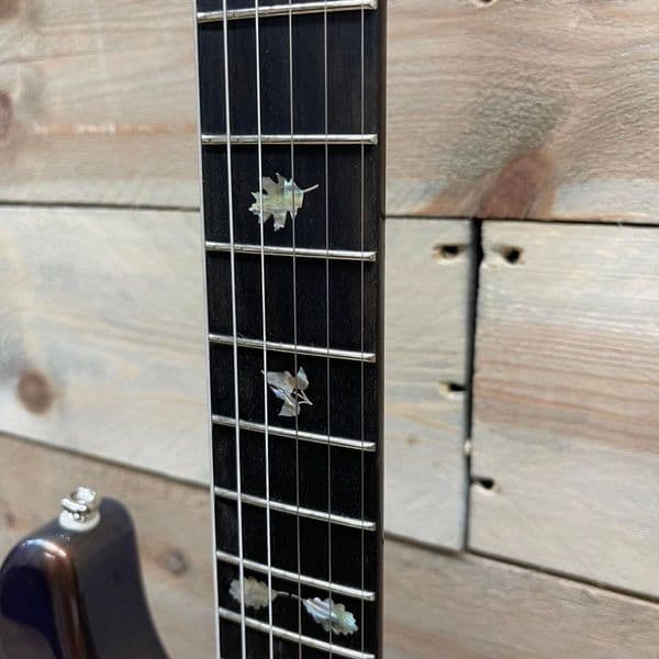 Haynes Guitars Inflection - Midnight Change - 3 Colour Flip Flop