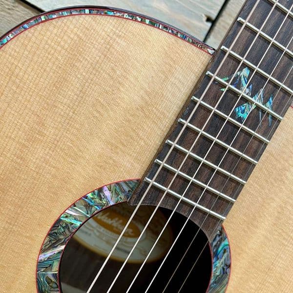 Washburn Elegante S24S Bella Tono
