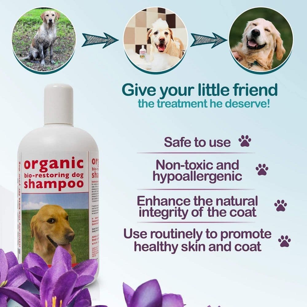 Quistel Organic Biorestoring Dog Shampoo