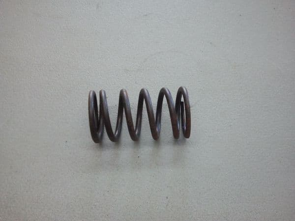 25.089.01-S Kohler SPRING E005