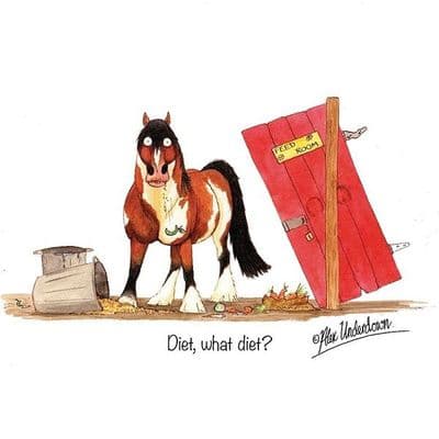 Alex Underdown Blank Greeting Card 'Diet, What Diet'