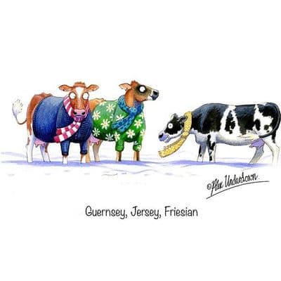 Alex Underdown Blank Greeting Card 'Guernsey, Jersey, Friesian'