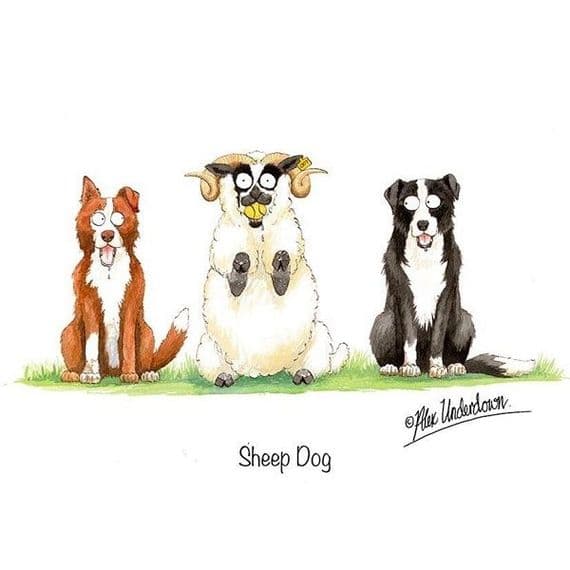 Alex Underdown Blank Greeting Card  'Sheep Dog'