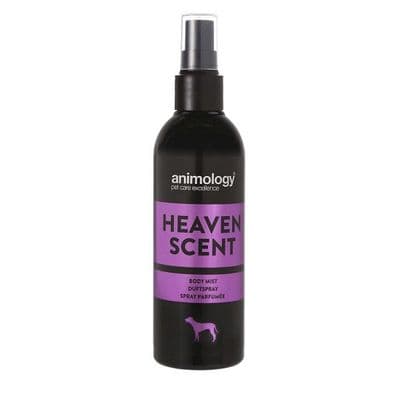 Animology Heaven Scent Fragrance Body Mist - 150ml