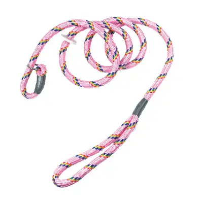 Bisley Multicoloured Dog Slip Lead - Pink