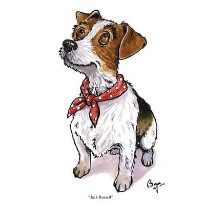 Bryn Parry Blank Greeting Card 'Jack Russell'