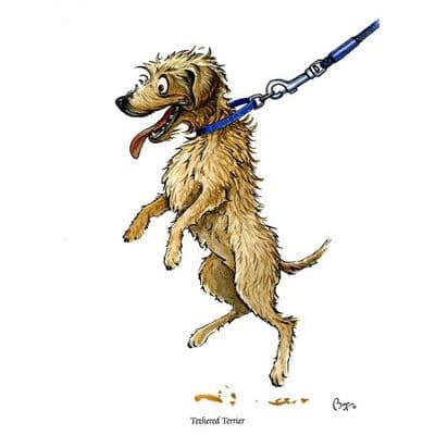 Bryn Parry Blank Greeting Card 'Tethered Terrier'