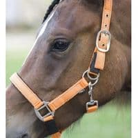 Cameo Fieldsafe Reflective Headcollar - Orange