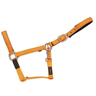Cameo Fieldsafe Reflective Headcollar - Orange