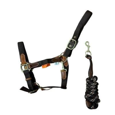 Cameo Performance Leather Headcollar And Lead - Brown