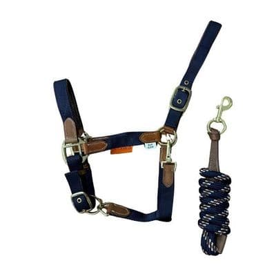 Cameo Performance Leather Headcollar And Lead - Navy