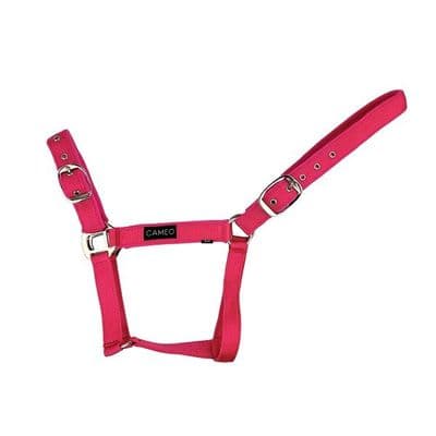 Cameo Suede Padded Headcollar - Pink