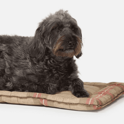 Danish Design Cage Dog Mattress - Newton Moss