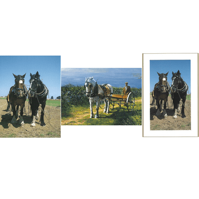 David Crane & Martin Fry Romansleigh Collection - Horses at Work - Pack of 3