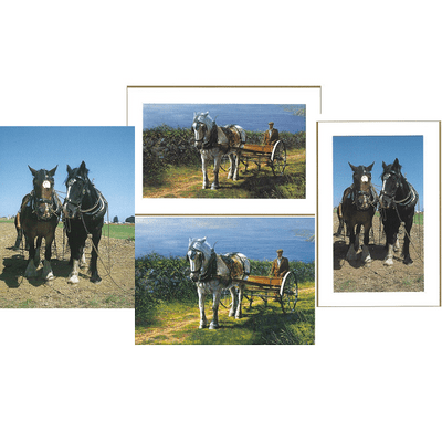 David Crane & Martin Fry Romansleigh Collection - Horses at Work - Pack of 4