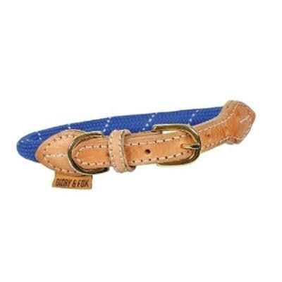 Digby & Fox Reflective Dog Collar - Royal Blue