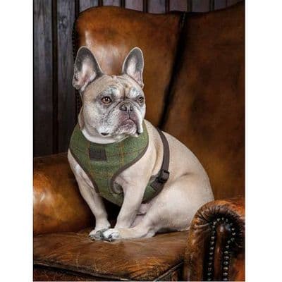 Digby & Fox Tweed Dog Harness - Red/Yellow/Blue Check