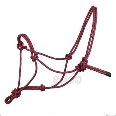 Dovedale Pressure Halter - Cerise Pink