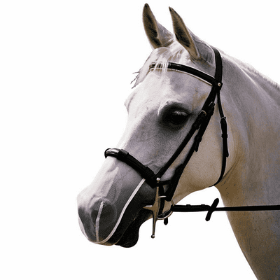Equilibrium Net Relief Muzzle For Cavesson Bridle - White