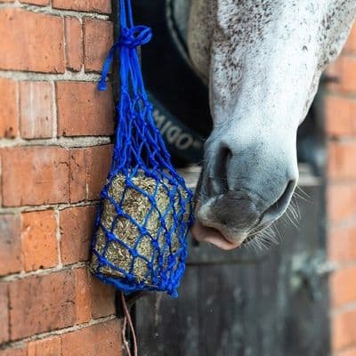 Equilibrium Vitamunch Net - Blue