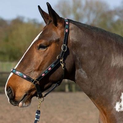 Gallop Diamond Padded Leather Headcollar - Pink/Aqua