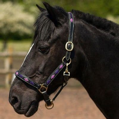 Gallop Diamond Padded Leather Headcollar - Purple/Lilac