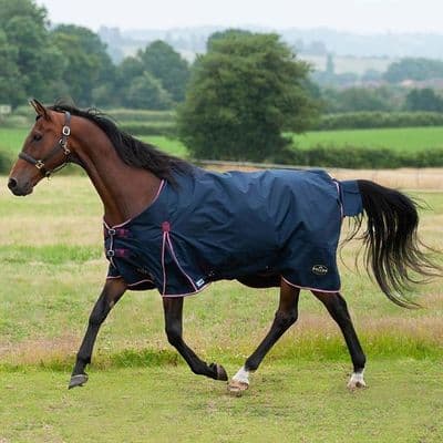 Gallop Trojan Duraproof 50g 5-Point Standard Neck Turnout - Navy