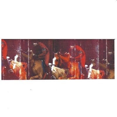 Gray's Horse Sport Slim Blank Greeting Card