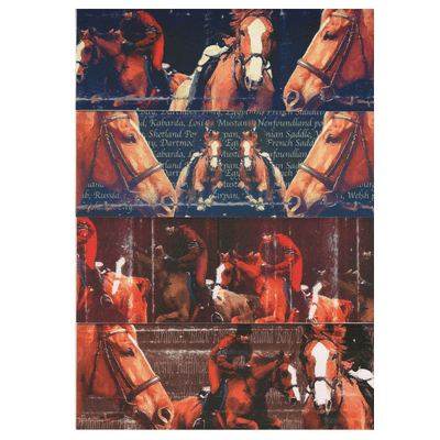 Gray's Horse Sport Slim Blank Greeting Cards Set of Four