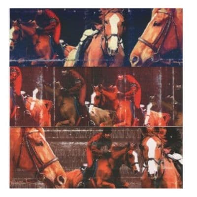 Gray's Horse Sport Slim Blank Greeting Cards Set of Three