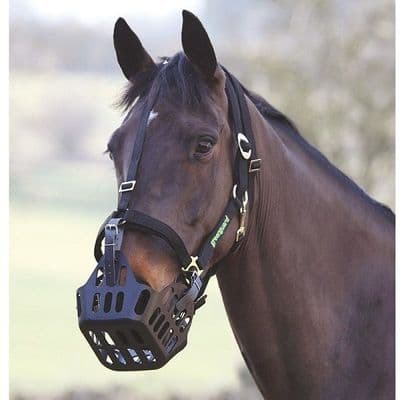 Greenguard Headcollar - Black