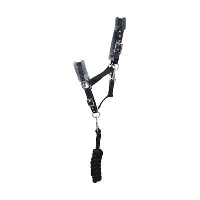 Hy Sport Active Head Collar & Lead Rope - Black