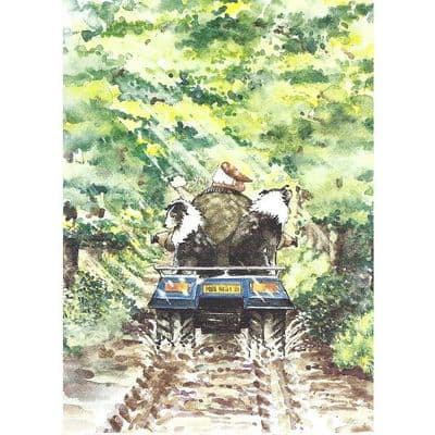 Jane Wells Blank Greeting Card 'The Power & The Glory'