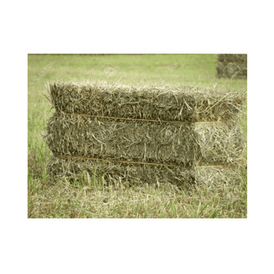 Meadow Hay
