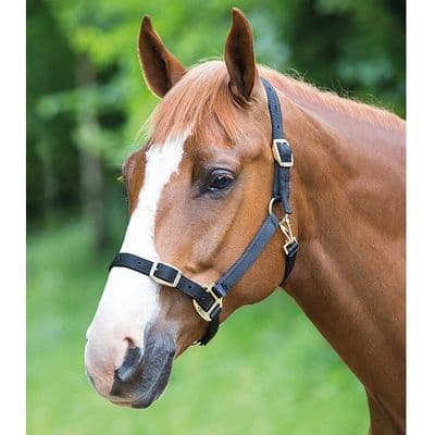 Shires Adjustable Headcollar - Black