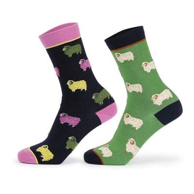 Shires Aubrion Bamboo Ankle Socks - Sheep (Pack of 2)
