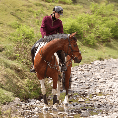 Shires Aubrion Core Half Zip Fleece - Maroon
