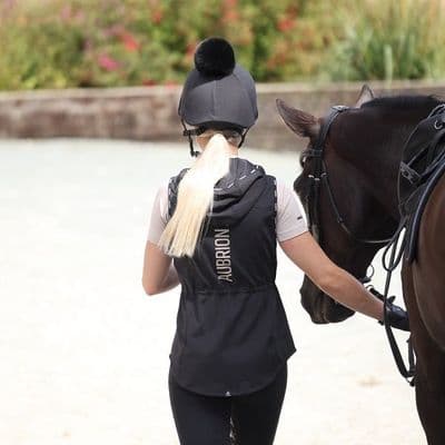 Shires Aubrion React Gilet - Shadow