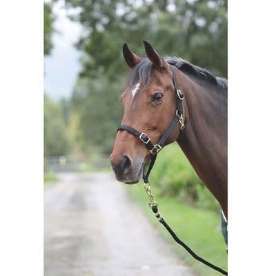 Shires Control Headcollar - Black