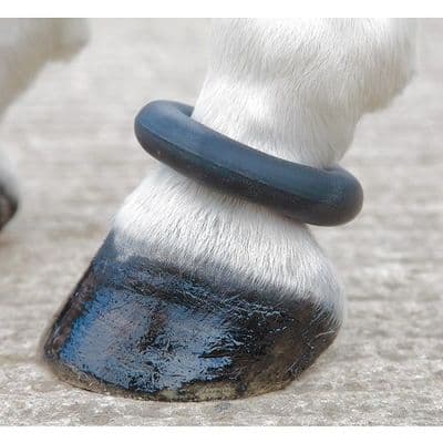 Shires Fetlock Ring - Black