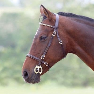 Shires Velociti GARA Clincher In-Hand Bridle - Havana