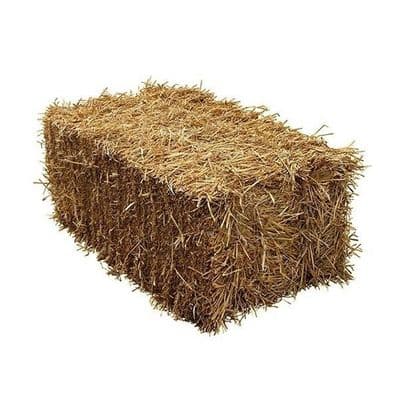 Straw Bale