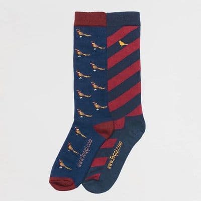 Toggi Frankland Men's Socks - Blue/Sienna (Pack of Two) UK 7-11