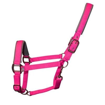 Woof Wear Contour Headcollar - Berry