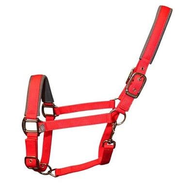 Woof Wear Contour Headcollar - Red