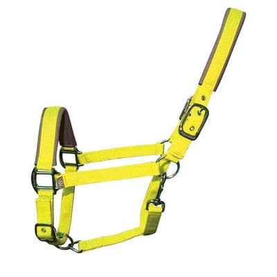 Woof Wear Contour Headcollar - Yellow