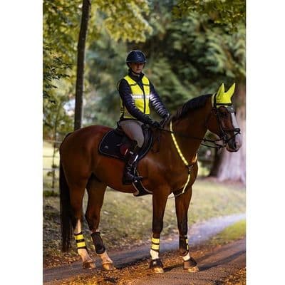 Woof Wear LED Hi Vis Riding Vest - Yellow